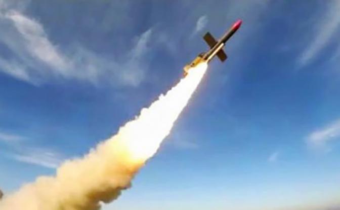 На фото: крылатая ракета «Фламинго»