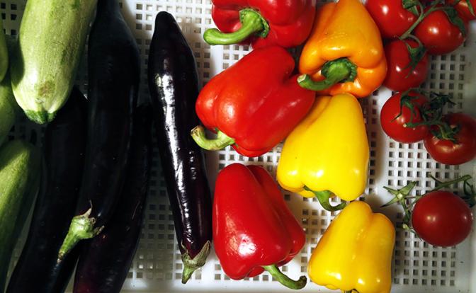 Россиянам объяснили, кому нельзя поститься