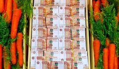 Пенсия - миллион и выше: Куда пойти учиться, чтобы к старости озолотиться