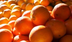 Назван фрукт-помощник при больных почках