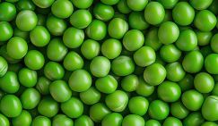 Диетологи назвали простой продукт, который помогает снижать холестерин и поддерживает сердце