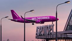 Маркетплейсы рвутся небо – у Wildberries могут вырасти собственные крылья