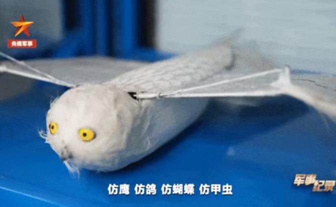 На фото: аппарат с бионическими крыльями