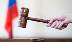 Приватизацию в стиле 90-х хотят защитить от исков 10-летним сроком давности