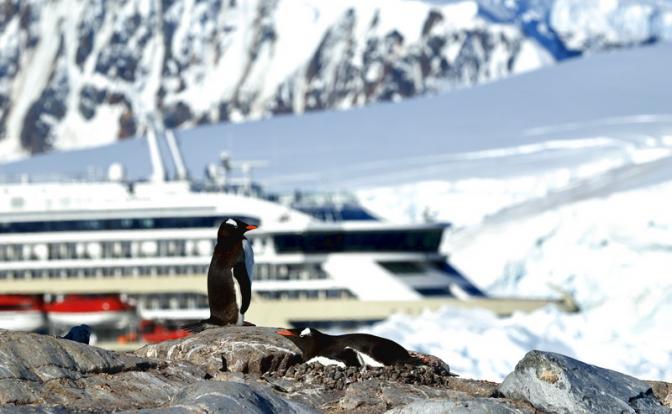 В Антарктиде будут яблони цвести? На ледяном континенте обнаружен оазис