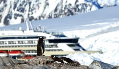 В Антарктиде будут яблони цвести? На ледяном континенте обнаружен оазис