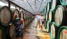 А ведь кто-то рад тому, что спрос на выездной туризм рухнул