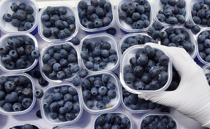 «Золотая» голубика: почему импортные ягоды кусаются в цене и при чем тут Марокко