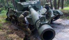 Александр Широкорад: Лозунг «Убей датчанина!» окажется куда доходчивее любых красных линий