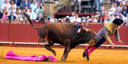 Кровь и адреналин: Коррида в испанской Севилье