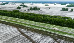 Картошку не сажать! Внезапные холода и снег заставили аграриев считать будущие убытки