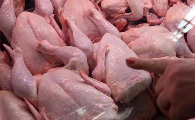 Россия запретила транзит мяса птицы из ЕС