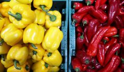 Назван продукт-чемпион по содержанию витамина С