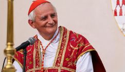 Секретная командировка кардинала: Ватикан не пошел на поводу у Брюсселя