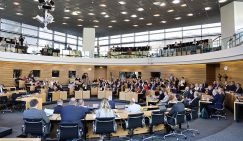 Ультралевых и ультраправых Германии смогла примирить только Украина