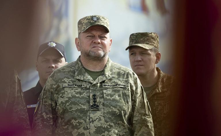 На фото: Валерий Залужный