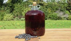 Житель Ставрополья украл у соседки и выпил 50 литров вина