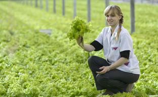 Импортозамещение