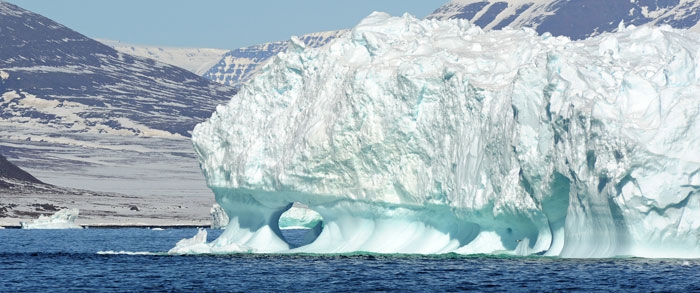 Арктика – 21 век